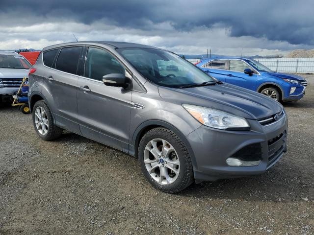 1FMCU9H9XDUD93458 - 2013 FORD ESCAPE SEL GRAY photo 4