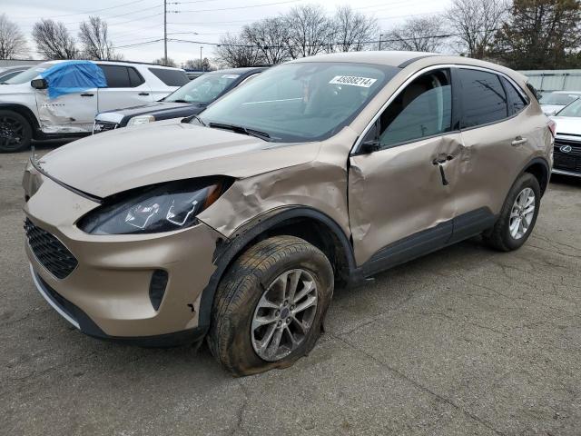 2021 FORD ESCAPE SE, 