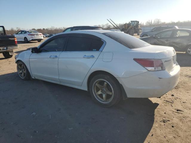 1HGCP36808A085193 - 2008 HONDA ACCORD EXL WHITE photo 2