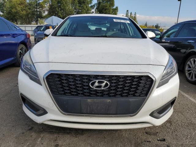 KMHE24L12GA025414 - 2016 HYUNDAI SONATA HYBRID WHITE photo 5