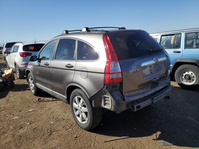 5J6RE48589L049954 - 2009 HONDA CR-V EX GRAY photo 2