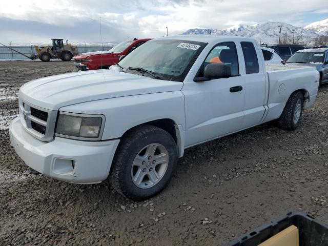 1D7RW3BK1AS207966 - 2010 DODGE DAKOTA SXT WHITE photo 1