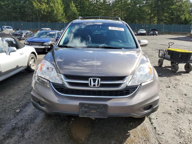 5J6RE4H79AL037656 - 2010 HONDA CR-V EXL GRAY photo 5