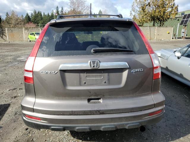 5J6RE4H79AL037656 - 2010 HONDA CR-V EXL GRAY photo 6