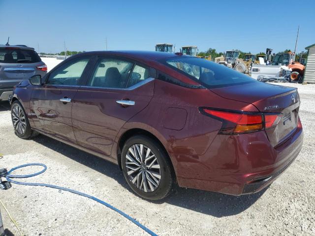 1N4BL4DV5PN349865 - 2023 NISSAN ALTIMA SV MAROON photo 2