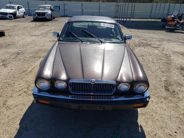 SAJAV1341GC443570 - 1986 JAGUAR XJ6 BROWN photo 5