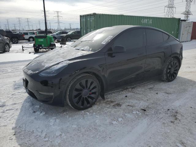2025 TESLA MODEL Y, 