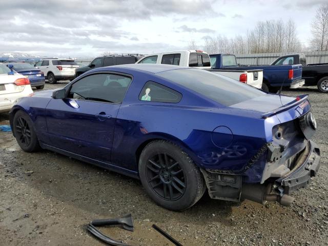 1ZVBP8AM0D5250039 - 2013 FORD MUSTANG BLUE photo 2