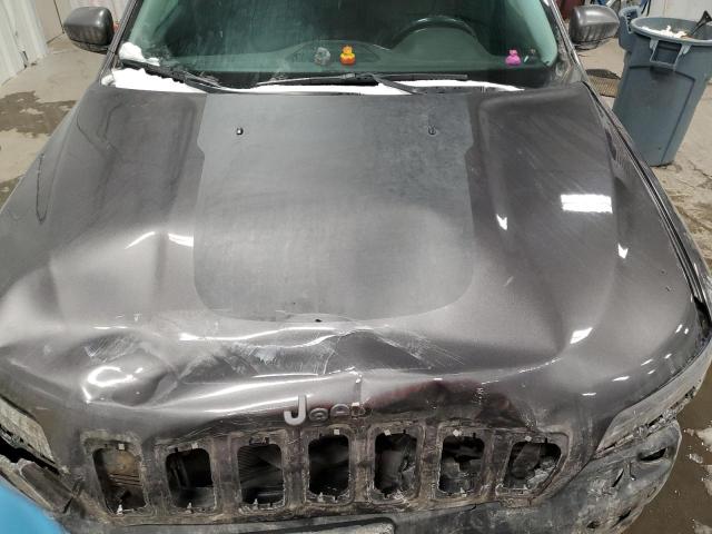 1C4PJMBX4KD138598 - 2019 JEEP CHEROKEE TRAILHAWK GRAY photo 12