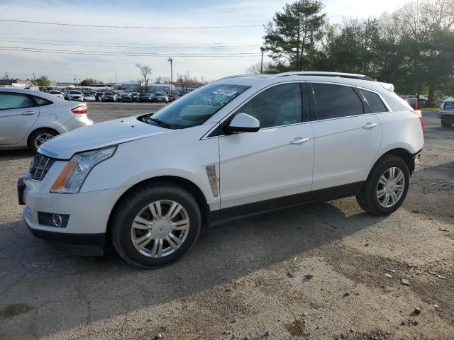 3GYFNBEY0AS652403 - 2010 CADILLAC SRX PERFORMANCE COLLECTION Ақ фото 1