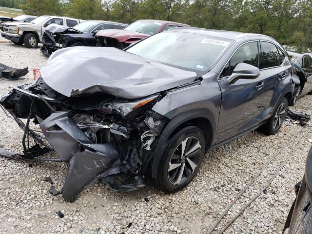 JTJGARDZ9M2236484 - 2021 LEXUS NX 300 BASE Boz foto 1