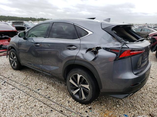 JTJGARDZ9M2236484 - 2021 LEXUS NX 300 BASE Boz foto 2
