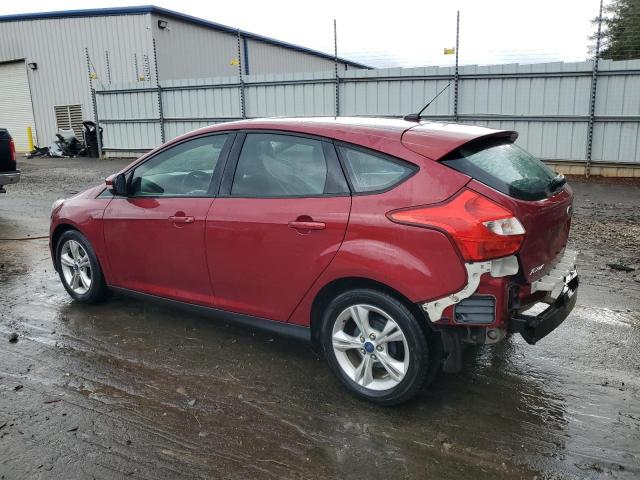 1FADP3K21DL368971 - 2013 FORD FOCUS SE RED photo 2