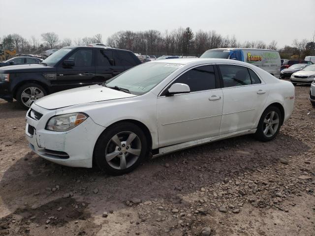 1G1ZC5E1XBF393186 - 2011 CHEVROLET MALIBU 1LT 白色 照片 1