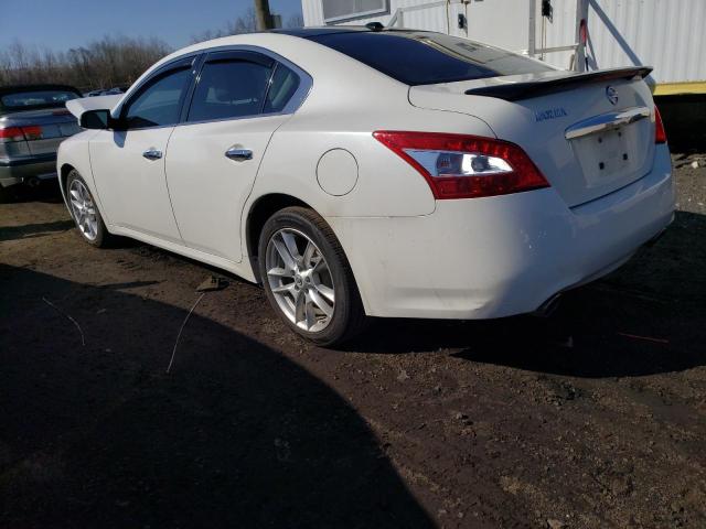 1N4AA5AP6BC862527 - 2011 NISSAN MAXIMA S WHITE photo 2