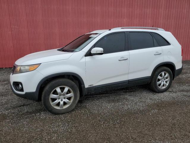 2011 KIA SORENTO BASE, 