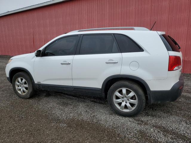 5XYKTCA14BG092574 - 2011 KIA SORENTO BASE WHITE photo 2