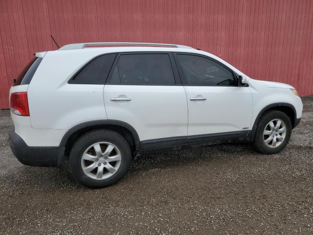 5XYKTCA14BG092574 - 2011 KIA SORENTO BASE WHITE photo 3