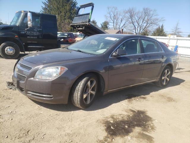 1G1ZC5E1XBF201863 - 2011 CHEVROLET MALIBU 1LT GRAY photo 1