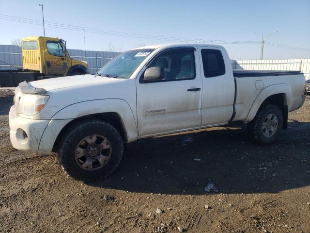 5TEUU42N98Z492058 - 2008 TOYOTA TACOMA ACCESS CAB თეთრი ფოტო 1