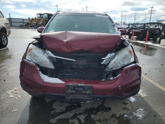 5J6RE4H74BL096468 - 2011 HONDA CR-V EXL BURGUNDY photo 5