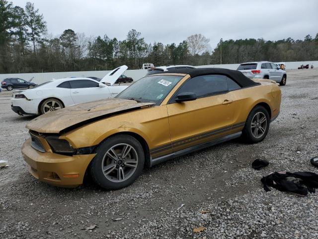 1ZVBP8EN8A5113266 - 2010 FORD MUSTANG GOLD photo 1