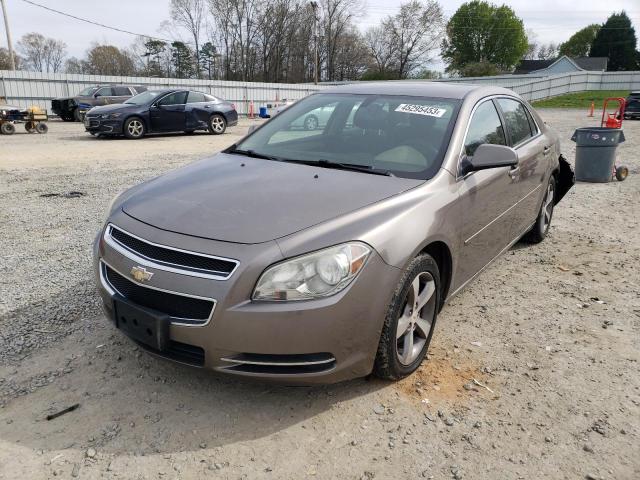 1G1ZC5E11BF210239 - 2011 CHEVROLET MALIBU 1LT 棕色 照片 1