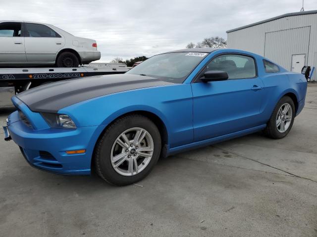 1ZVBP8AM8E5239842 - 2014 FORD MUSTANG BLUE photo 1