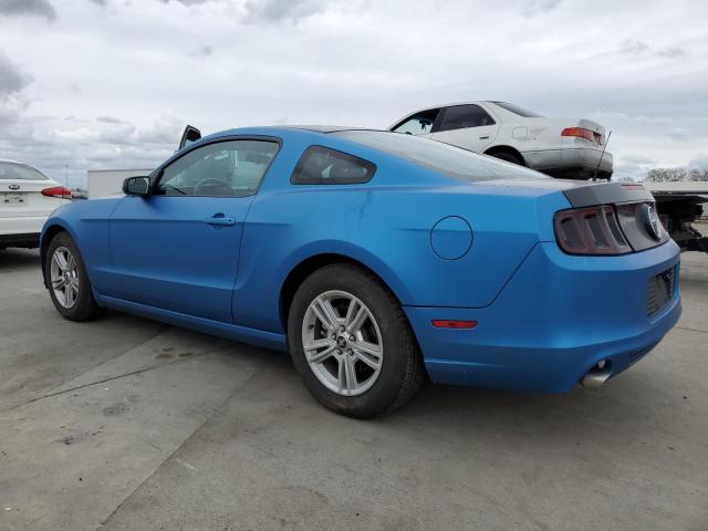 1ZVBP8AM8E5239842 - 2014 FORD MUSTANG BLUE photo 2