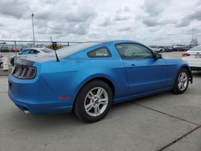 1ZVBP8AM8E5239842 - 2014 FORD MUSTANG BLUE photo 3