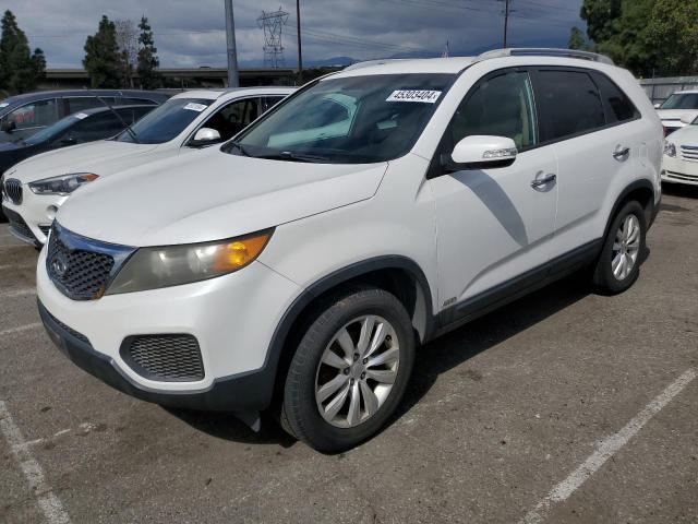 2011 KIA SORENTO BASE, 