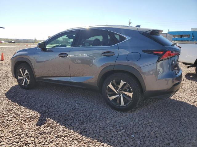 JTJGARBZ6M2188641 - 2021 LEXUS NX 300 BASE 灰色 照片 2