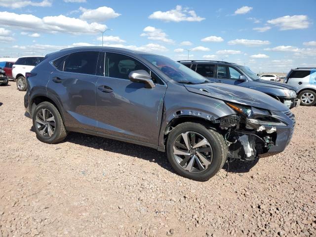 JTJGARBZ6M2188641 - 2021 LEXUS NX 300 BASE 灰色 照片 4