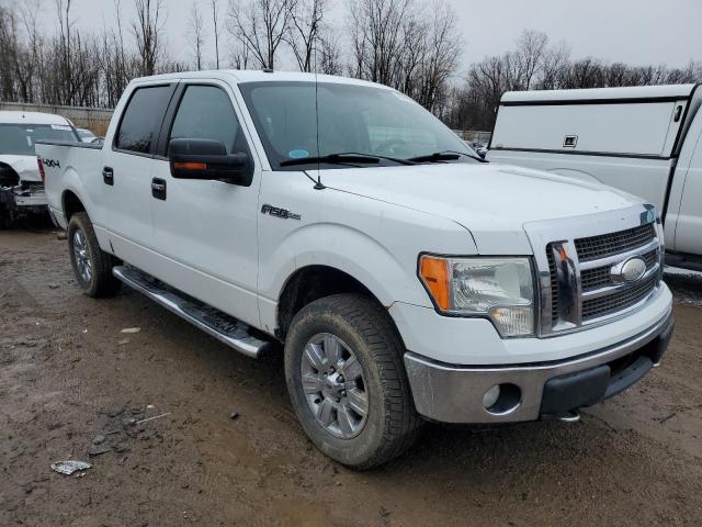 1FTFW1EV7AFD03309 - 2010 FORD F150 SUPERCREW WHITE photo 4