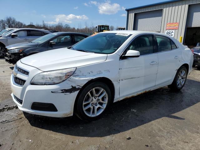 1G11D5RR2DF111992 - 2013 CHEVROLET MALIBU 1LT WHITE photo 1
