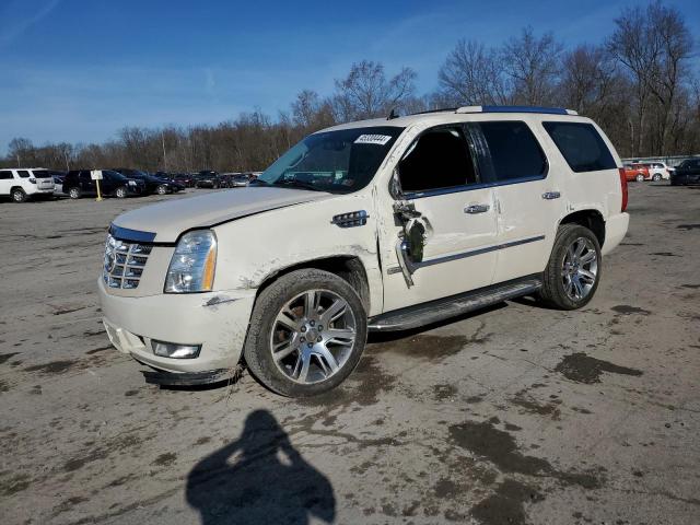 1GYUKBEFXAR157594 - 2010 CADILLAC ESCALADE LUXURY WHITE photo 1