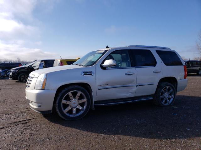 1GYS4EEJ7BR281329 - 2011 CADILLAC ESCALADE HYBRID WHITE photo 1