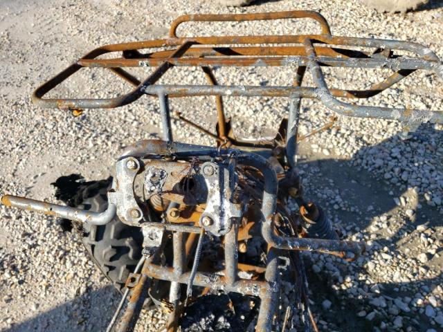 1HFTE244564519205 - 2006 HONDA TRX350 TE BURN photo 8