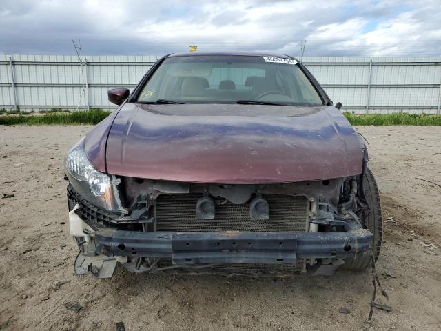 JHMCP26319C002971 - 2009 HONDA ACCORD LX MAROON photo 5