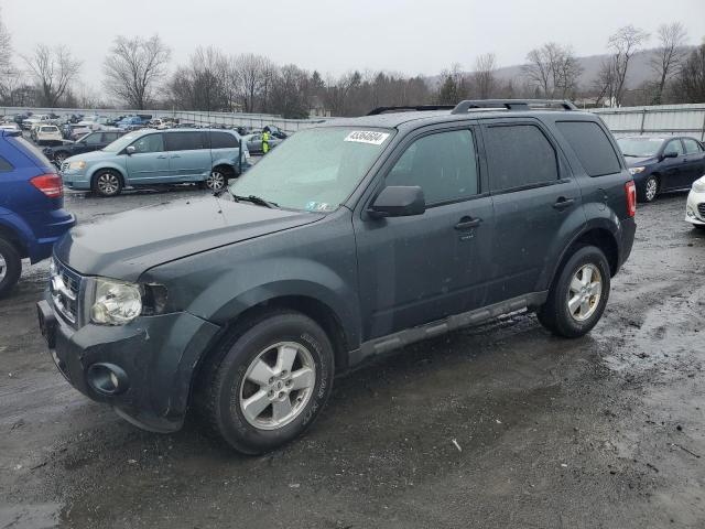 2009 FORD ESCAPE XLT, 