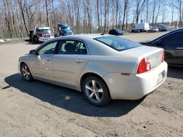 1G1ZC5E16BF166707 - 2011 CHEVROLET MALIBU 1LT BEIGE photo 2