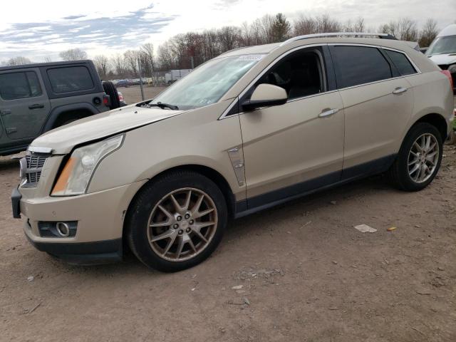 3GYFNFE31CS518983 - 2012 CADILLAC SRX PREMIUM COLLECTION GOLD photo 1