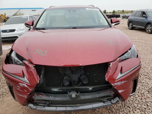 JTJYARBZ0K2126671 - 2019 LEXUS NX 300 BASE წითელი ფოტო 5