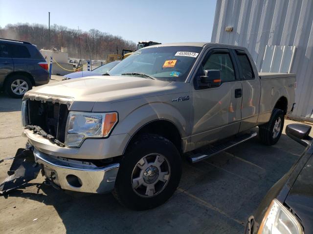 1FTFX1EV3AFA57355 - 2010 FORD F150 SUPER CAB GOLD photo 1