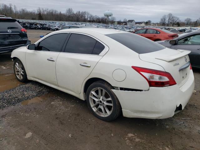 1N4AA5AP2AC803005 - 2010 NISSAN MAXIMA S WHITE photo 2