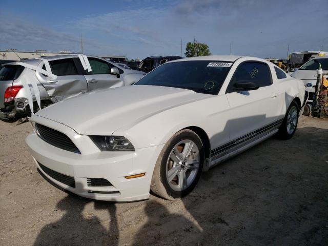 1ZVBP8AMXD5267804 - 2013 FORD MUSTANG WHITE photo 1