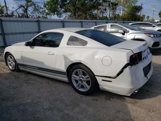 1ZVBP8AMXD5267804 - 2013 FORD MUSTANG WHITE photo 2