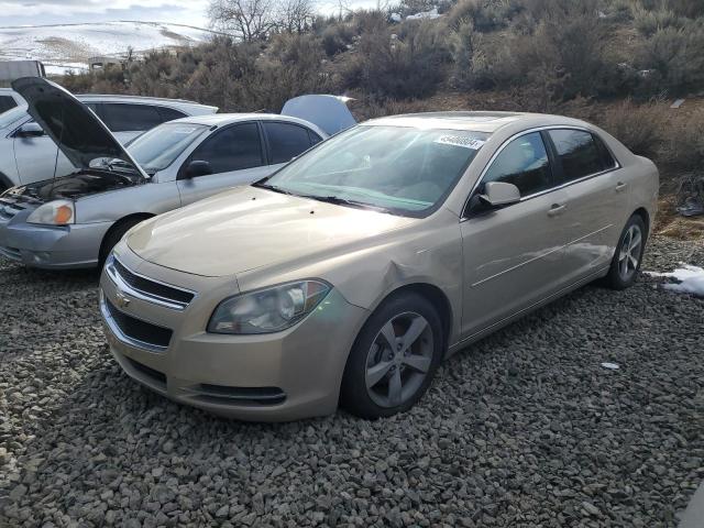 1G1ZC5EU1BF131843 - 2011 CHEVROLET MALIBU 1LT 米色 照片 1
