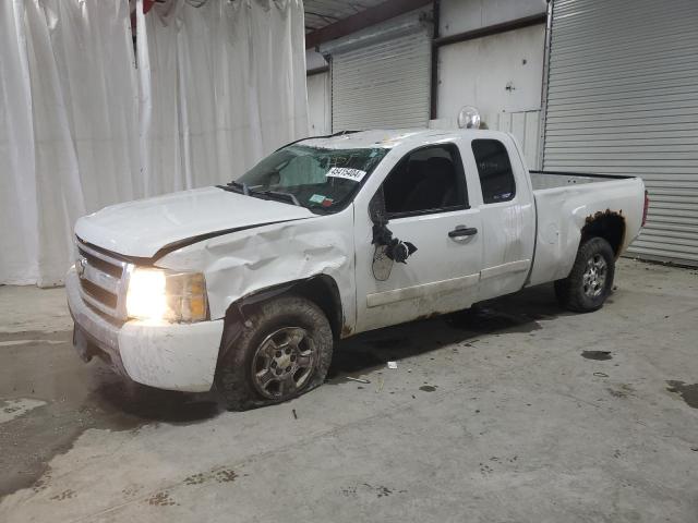 2GCEK19J381282085 - 2008 CHEVROLET SILVERADO K1500 WHITE photo 1