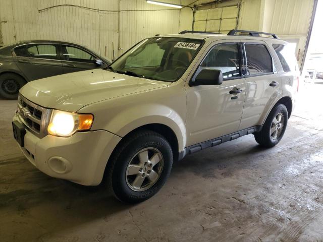 2010 FORD ESCAPE XLT, 